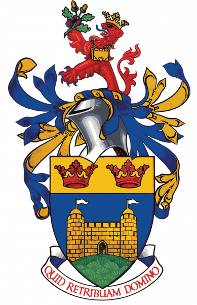 King James's School logo